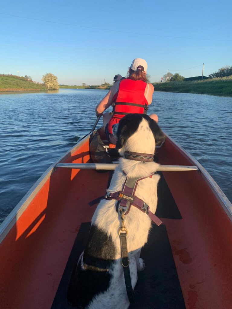 Dog and Canoe