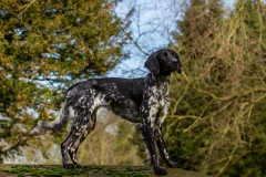 MG_6265-Edit