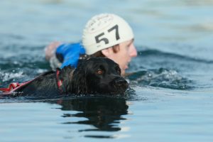 Tri Dog - Swim