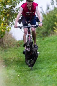 Tri Dog - bikejor